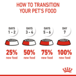 Feline health nutrition mother & babycat - Image 8
