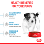 Size health nutrition mini puppy - Image 3