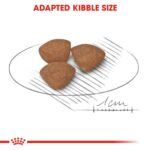Size health nutrition mini puppy - Image 5
