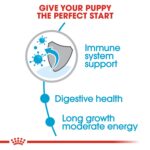 Size health nutrition maxi puppy - Image 4