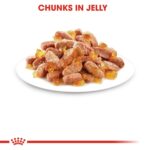 Feline Health Nutrition Kitten Jelly (Wet Food - Pouches) 12 X 85 G - Image 7