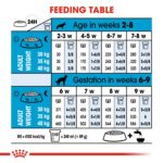 Size health nutrition maxi starter - Image 4