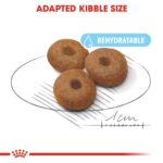 Size health nutrition maxi starter - Image 5
