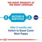 Size health nutrition maxi starter - Image 7