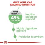Feline care nutrition digestive care - Image 3