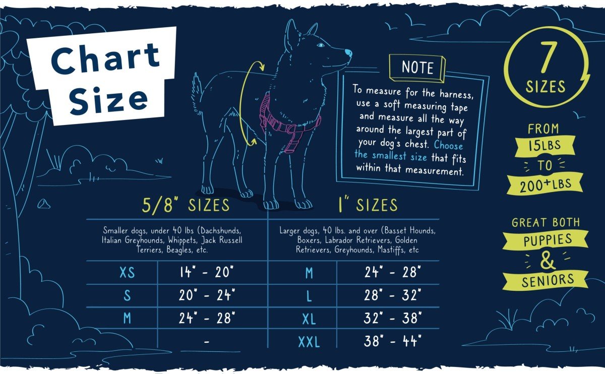 harness-and-training-leash-black-1_3.jpg 1 Freedom no-pull harness and leash black - Image 1