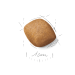 Breed health nutrition pomeranian adult 1.5 kg - Image 2