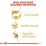 Breed Health Nutrition Chihuahua Adult (Wet Food - Pouches) 12 X 85 G - Image 4