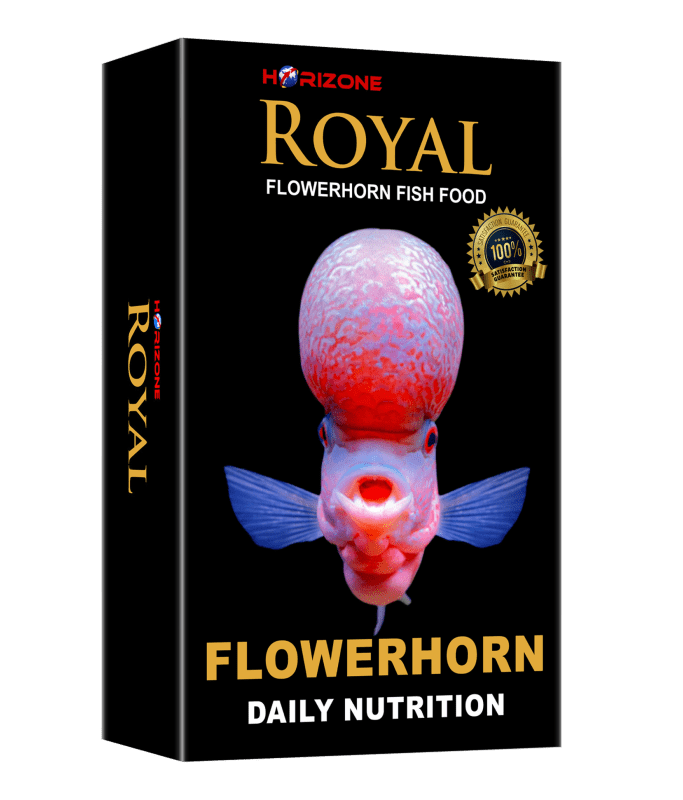 11185-large_default Horizone Royal Flowerhorn Food - 100G - Image 1
