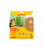 Sera Catappa Leaves