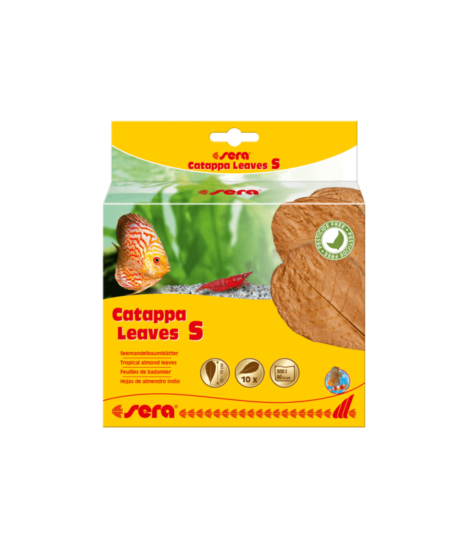 11563-large_default Sera Catappa Leaves
