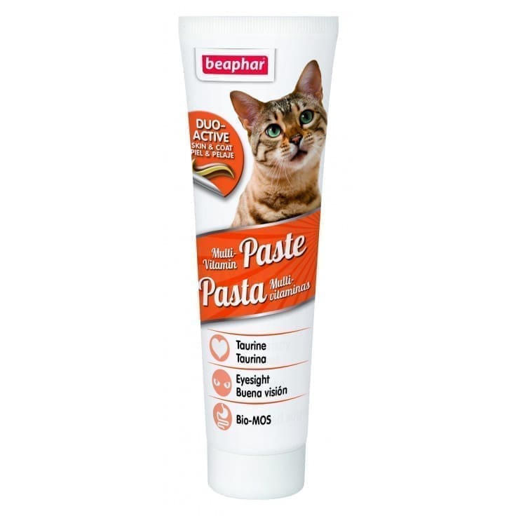 12951_336955_1 Multi Vitamin Paste Cat 100 G - Image 1