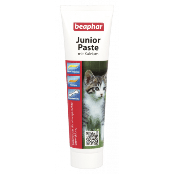 12956 Junior Paste For Cats 100 G - Image 1