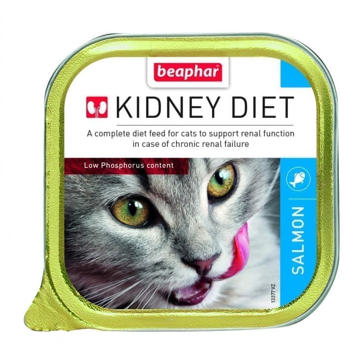 13377_2017 WET FOOD - KIDNEY/RENAL DIET - SALMON(16PCS X 100G) - Image 1