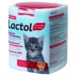 Lactol Kitten - Image 2