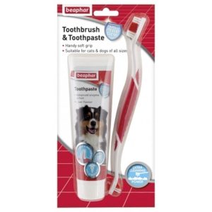 Toothbrush & Toothpaste Combipack
