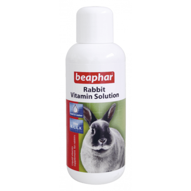 15336 Rabbit Vitamins 100 Ml - Image 1