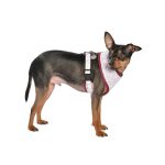 DOTS T-SHIRT HARNESS