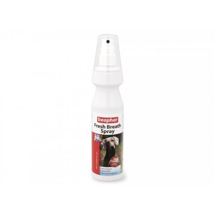 4351_17322 Fresh Breath Spray 150 Ml - Image 1