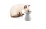 Elevated Pet Water Bowl - White - Image 2