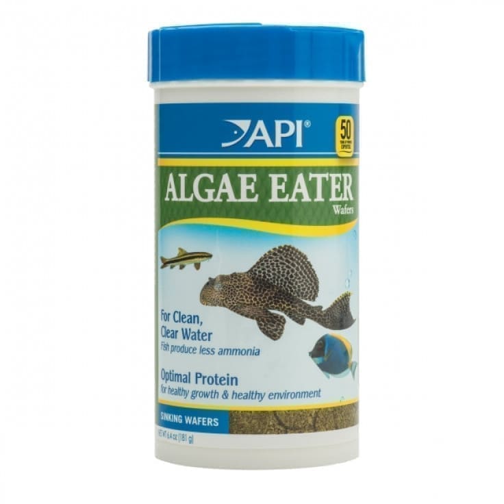 840c_1 Api algae eater wafers fish food - 105 GM - Image 1