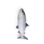 Jittering fish - Image 5