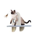 SKYWALK - - Image 3