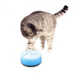 Cat love bowl - Image 2