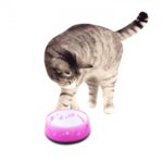 Cat love bowl - Image 6