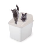 No mess litter box - Image 3