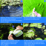 Api pond algaefix - Image 3
