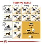 Feline Breed Nutrition Maine Coon Adult 2 Kg - Image 4