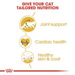 Feline Breed Nutrition Maine Coon Adult 2 Kg - Image 8