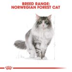 Feline Breed Nutrition Norwegian Forest Cat Adult 2 Kg - Image 4