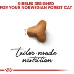Feline Breed Nutrition Norwegian Forest Cat Adult 2 Kg - Image 6