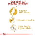 Feline Breed Nutrition Norwegian Forest Cat Adult 2 Kg - Image 7