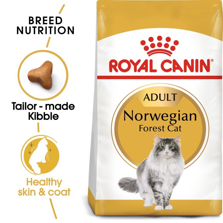 RO235070 FELINE BREED NUTRITION NORWEGIAN FOREST CAT ADULT