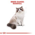 Feline Breed Nutrition Ragdoll Adult 2 Kg - Image 4