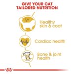 Feline Breed Nutrition Ragdoll Adult 2 Kg - Image 7