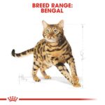 Feline Breed Nutrition Bengal Adult 2 Kg - Image 4