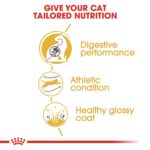 Feline Breed Nutrition Bengal Adult 2 Kg - Image 6