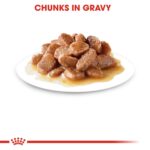 Buy 2 for a Purrfect Deal! Feline Health Nutrition Ageing 12+ Gravy (Wet Food - Pouches) 12 x 85 g - Image 3