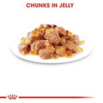 Buy 2 for a Purrfect Deal! Feline Health Nutrition Ageing 12+ Jelly (Wet Food - Pouches) 12 x 85 g - Image 7
