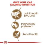 Buy 2 for a Purrfect Deal! Feline Health Nutrition Ageing 12+ Jelly (Wet Food - Pouches) 12 x 85 g - Image 6