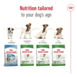 Size Health Nutrition Mini Ageing 12+ 1.5 Kg - Image 7