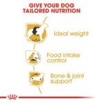 Breed Health Nutrition Beagle Adult 3 Kg - Image 5