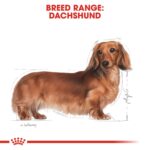 Breed Health Nutrition Dachshund Adult 1.5 Kg - Image 2