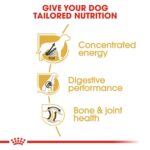 Breed Health Nutrition Great Dane Adult 12 Kg - Image 5
