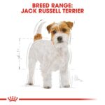 Breed Health Nutrition Jack Russell Adult 1.5 Kg - Image 4