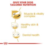 Breed Health Nutrition Jack Russell Adult 1.5 Kg - Image 6